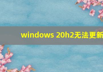 windows 20h2无法更新